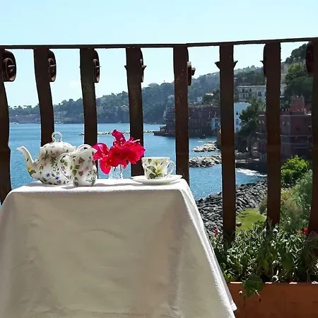 Donn'anna With A View